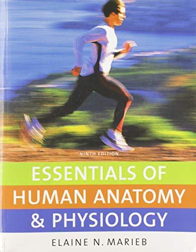 Grundlagen der menschlichen anatomie und physiologie essentials of human anatomy and physiology 9th edition study guide. - Beer mechanics of materials solutions manual.